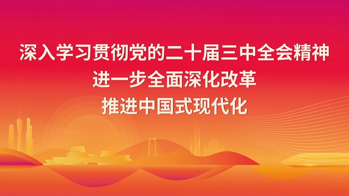 深入学习贯彻党的二十届三中全会精神  进一步全面深化改革  推进中国式现代化