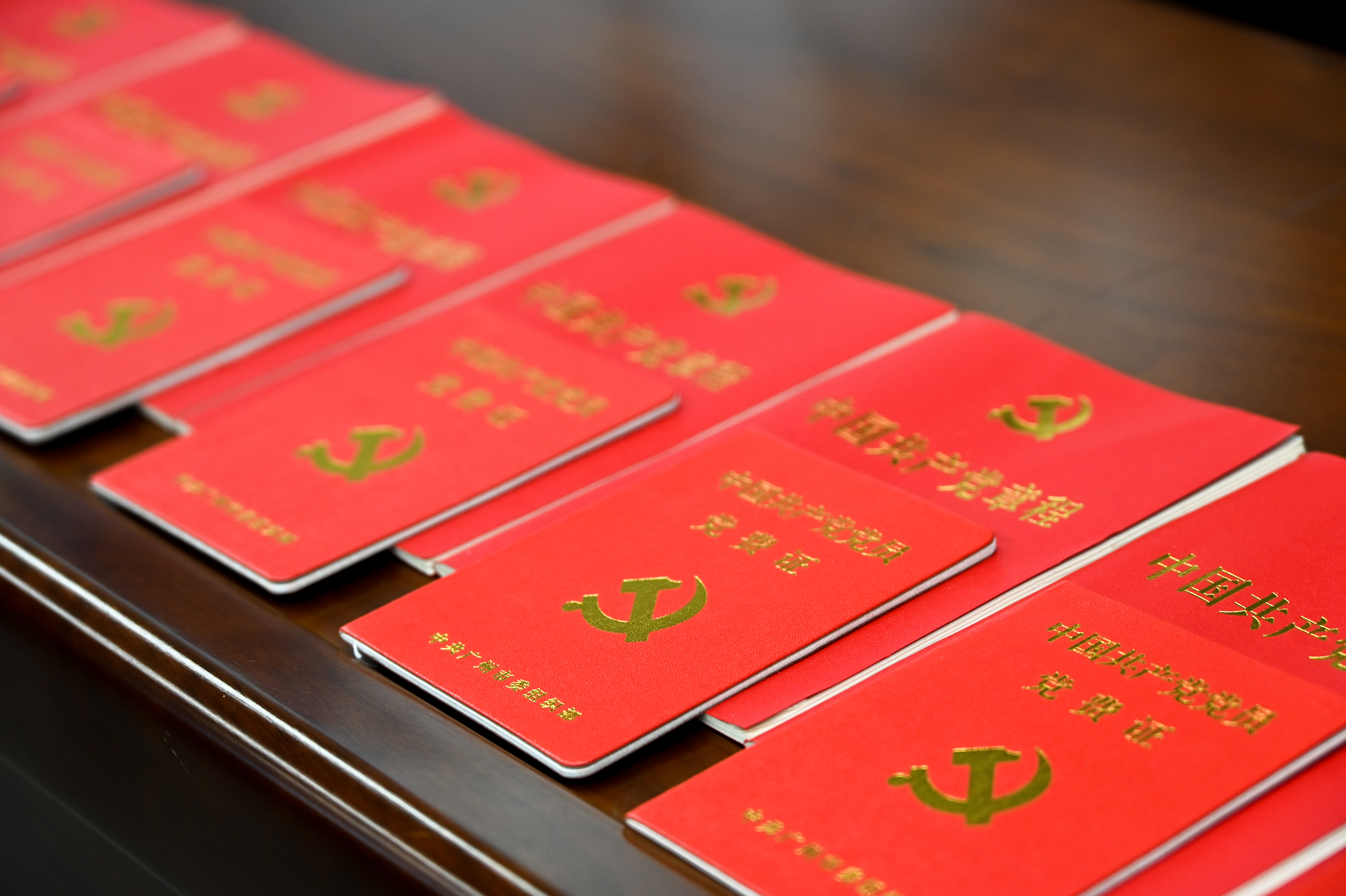 党费证和党章.jpg